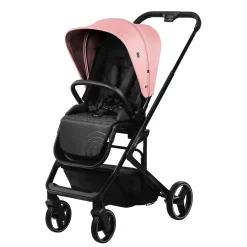 Asalvo - Trío Newton Rosa