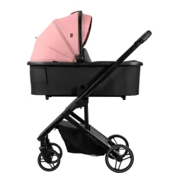 Asalvo - Trío Newton Rosa