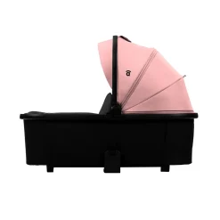 Asalvo - Trío Newton Rosa