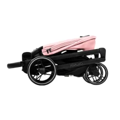 Asalvo - Trío Newton Rosa