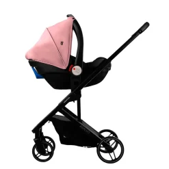 Asalvo - Trío Newton Rosa