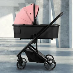 Asalvo - Trío Newton Rosa