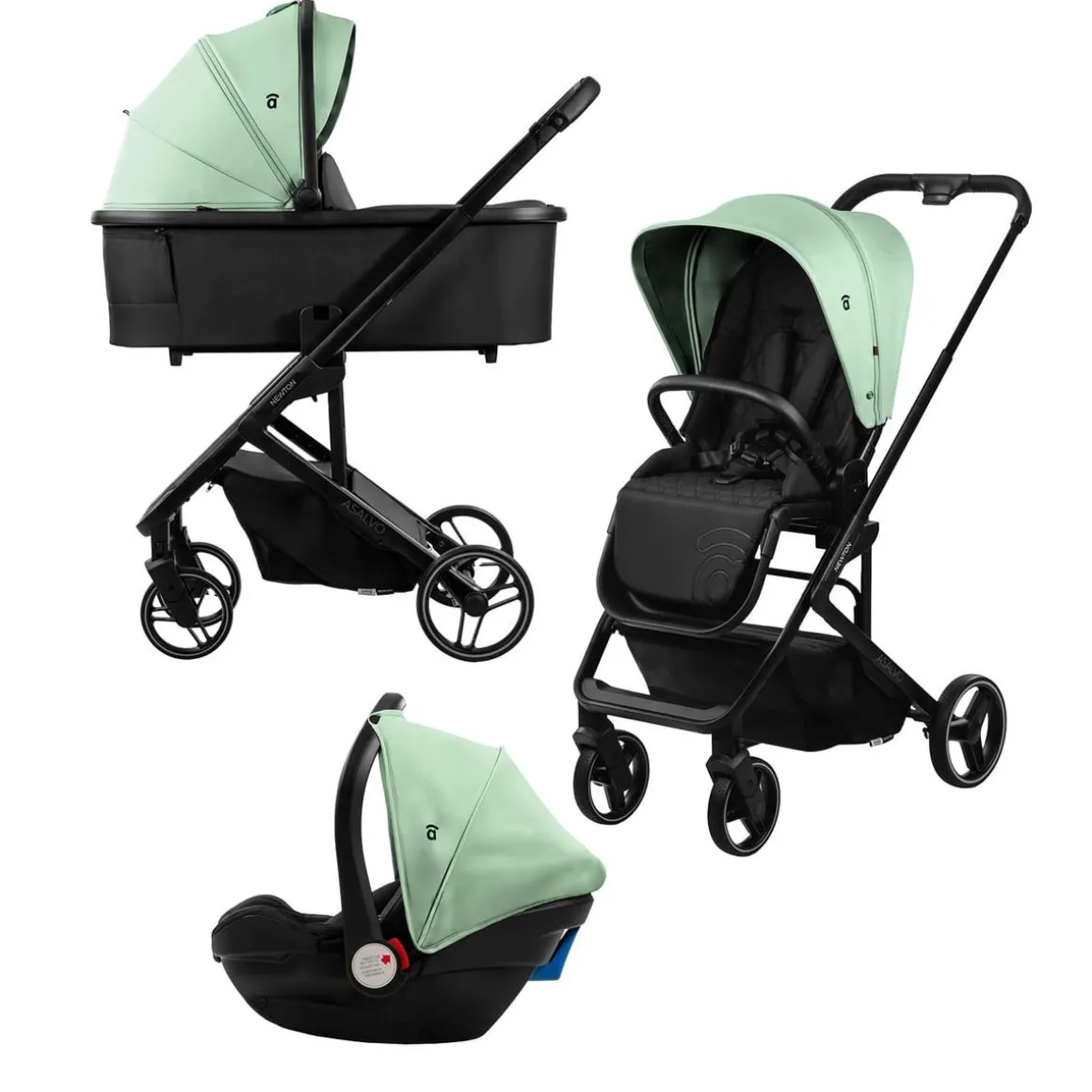 Asalvo - Trío Newton Verde