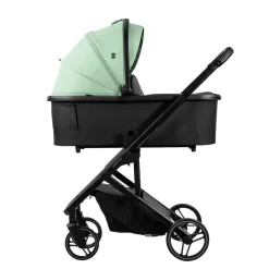 Asalvo - Trío Newton Verde