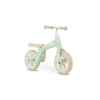 Balance Bike Mint 10"
