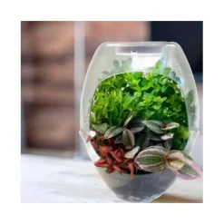 Cefa Toys - Terrario educativo con luz y libro guía Botanicefa Plus ㅤ