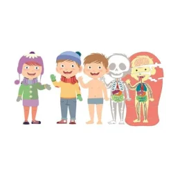 Clementoni - El Cuerpo Humano