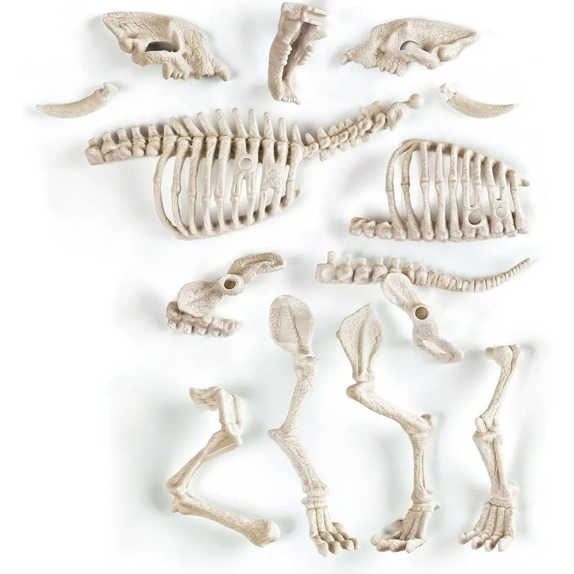 Clementoni - Juego científico de excavación y montaje Smilodon fosforescente ㅤ