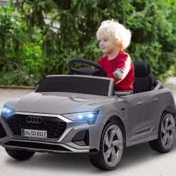 Coche Eléctrico Audi Q8 Etron Sportback 12V Gris
