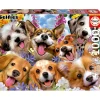Educa Borras - Puzzle Paisaje Perros 1000 Piezas ㅤ