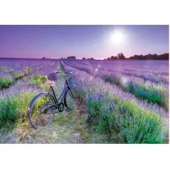Educa Borrás - Bicicleta en campo de lavanda - Puzzle 1000 piezas