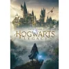 Harry Potter - Póster Hogwarts Legacy de Harry Potter (91,5 x 61 cm) ㅤ