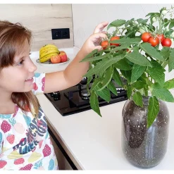 Kit de cultivo de tomate Cherry orgánico para interior