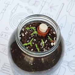 Kit de cultivo de tomate Cherry orgánico para interior