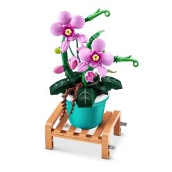 MAX - Pack 4 Cápsulas Garden