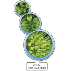 Micro Planet - Microscopio inteligente conectable