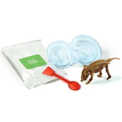Miniset Kit de paleontología