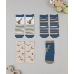 Pack 4 calcetines para niño dinosaurios