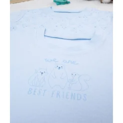 Pack 2 camiseta niña azul algodón orgánico