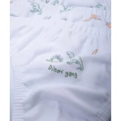 Pack de 7 Braguitas de Dinosaurios