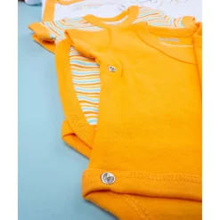 Pack x5 bodies de manga corta unisex