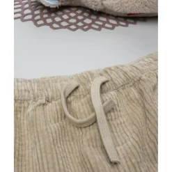 Pantalón beige de pana suave para niño