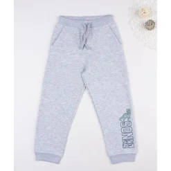 Pantalón niño gris “Dinos” felpado