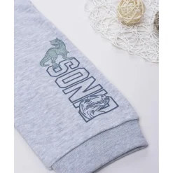 Pantalón niño gris “Dinos” felpado