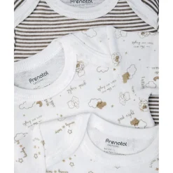 Paquete 5 body cortos unisex oro