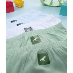 Paquete 5 calzoncillos bimbo dinosaurios