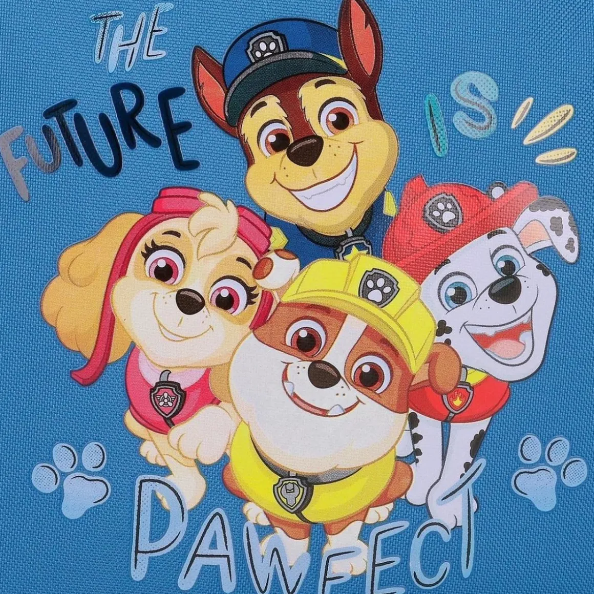 Patrulla Canina - Mochila preescolar 25 cm - The Playful Outdoors