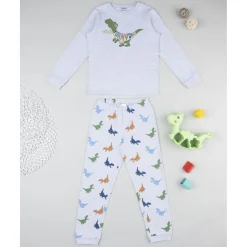 Pijama niño gris dinosaurio