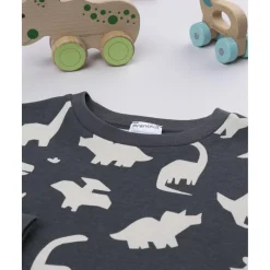 Pijama niño gris oscuro Dino