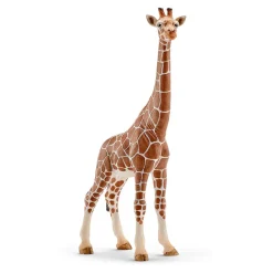 Schleich - Jirafa Hembra