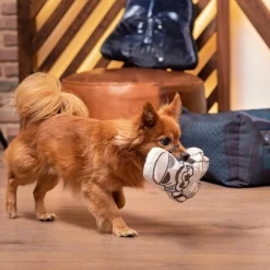 Star Wars - Soldado Imperial - Peluche para perros