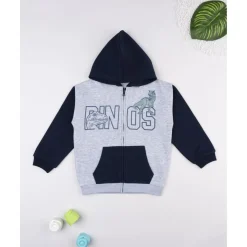 Sudadera niño gris/azul “Dinos” con capucha