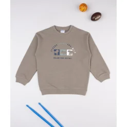 Sudadera niño marrón dinosaurios