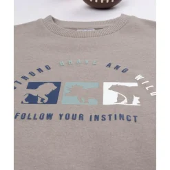 Sudadera niño marrón dinosaurios