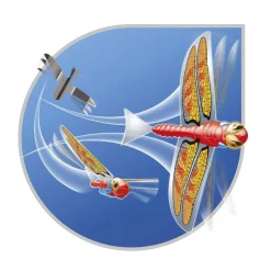 Sun & Sport - Dragonfly